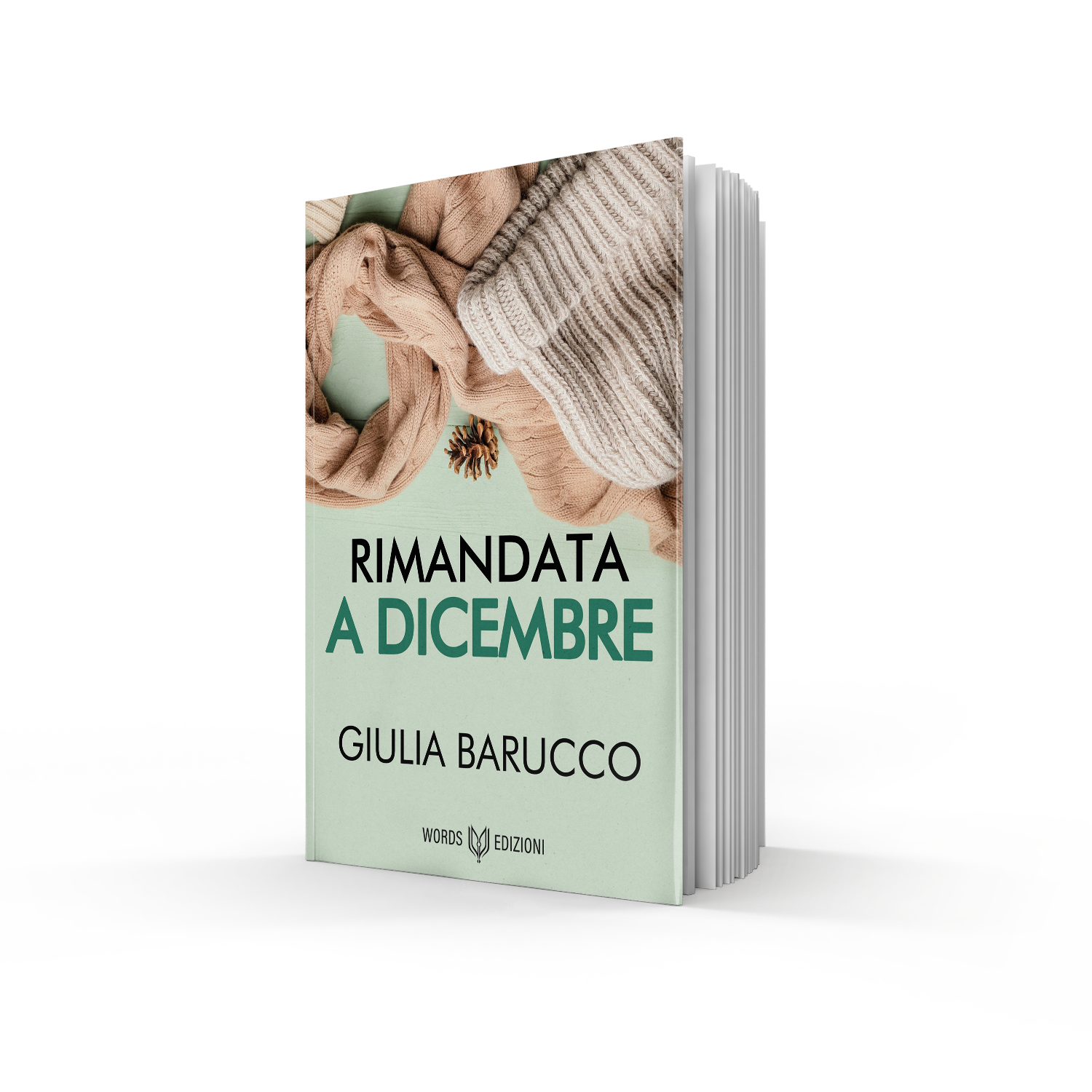 Rimandata a Dicembre